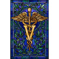 Caduceus with Veterinary Emblem