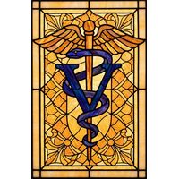 Veterinary Caduceus Emblem