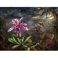 Hummingbirds and Orchid in the Tropics