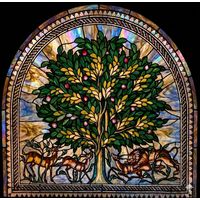 Tree of Life with Wildlife