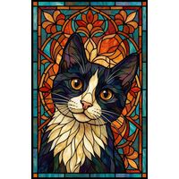 Tuxedo Cat Portrait