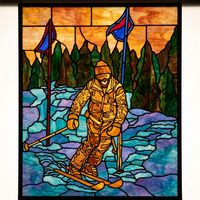 Downhill Skier on Slopes