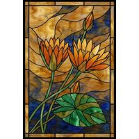 Golden Water Lilies in Bloom