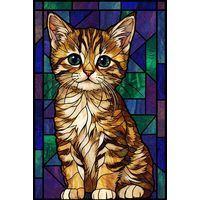 Tabby Kitten