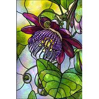 Exotic Purple Passion Flower