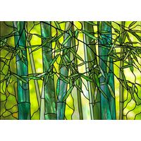 Backlit Bamboo