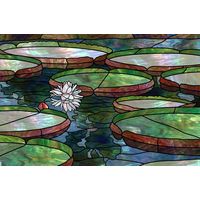 Water Lilies in Pond