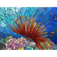Vibrant Sea Anemone on Coral Reef