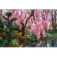 Weeping Cherry Tree by the Pond
