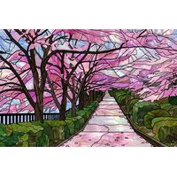 Cherry Blossom Path in Spring