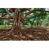 Ancient Banyan Tree
