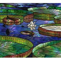 Water Lilies and Floating Pads