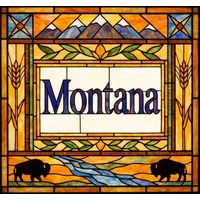 Montana Landscape with Bison