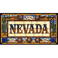 Nevada Desert Casino Motif