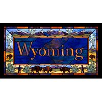 Wyoming Landscape with Bison
