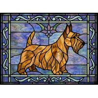 Scottish Terrier in Profile