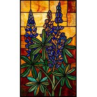 Lupine Bloom in Amber and Sunset Glow