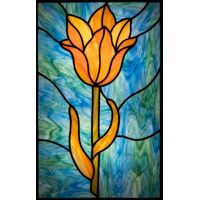 Solitary Golden Tulip