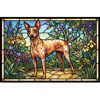 Spotted American Hairless Terrier in the Garden