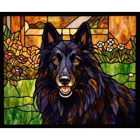 Belgian Shepherd in the Garden
