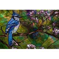 Blue Jay Perched on Apple Blossoms