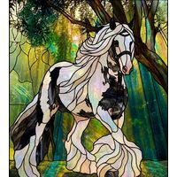 Pinto Horse in the Forest