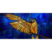 Blue and Gold Macaw Perched