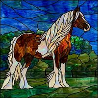 Majestic Piebald Horse