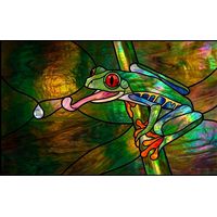 Red-Eyed Tree Frog in the Rainforest