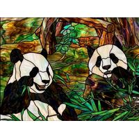 Pair of Pandas in Bamboo Forest