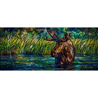 Moose in the Shallows