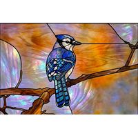 Blue Jay Perched on Branch