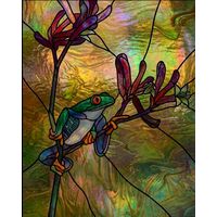 Red-Eyed Tree Frog on Kangaroo Paw Flower