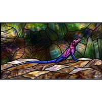 Lizard on Rocks