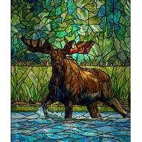 Moose Wading in the Wild