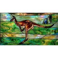 Kangaroo in the Australian Outback