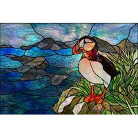 Atlantic Puffin on the Coastal Cliffs