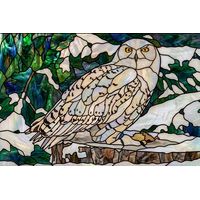 Snowy Owl in Winter Woods