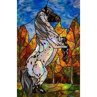 Rearing Appaloosa in Autumn Forest