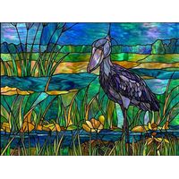 Shoebill Stork in Wetlands