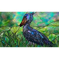 Shoebill Stork in the Marsh
