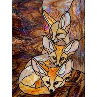 Trio of Fennec Foxes