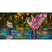 Roseate Spoonbills in the Wetlands