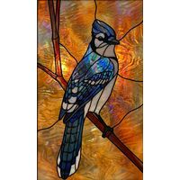 Blue Jay on a Branch