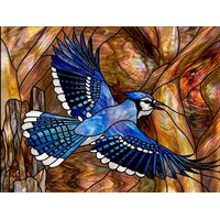 Blue Jay in Flight