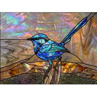 Blue Wren on a Branch