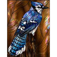 Blue Jay on a Perch