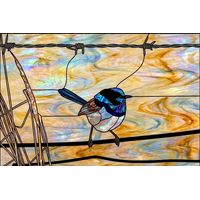 Superb Fairywren on Barbed Wire