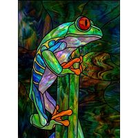 Red-Eyed Tree Frog on a Branch