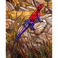 Lizard on a Sun-Drenched Rock